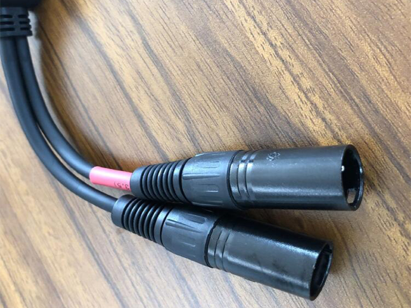 卡侬头 2P公母插