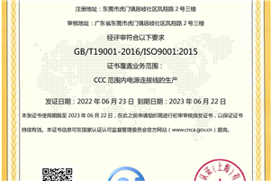 ISO9001质量管理体系中文版